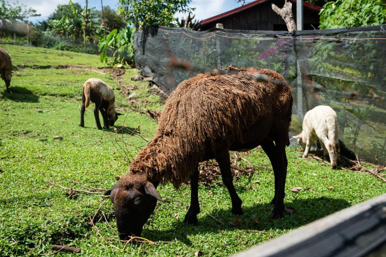 Hotel & Spa Escondite De La Montana Sabana Redonda 외부 사진